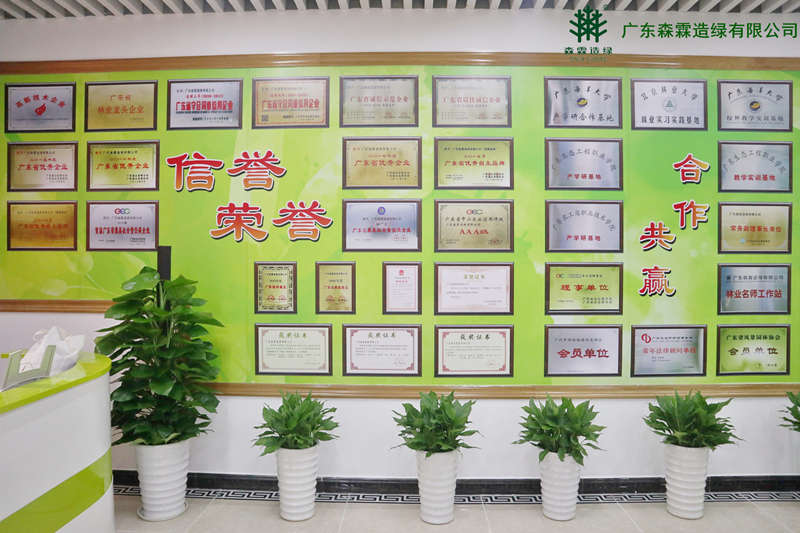 �й����ط�����(�ɷ�)���޹�˾-�ٷ���վ