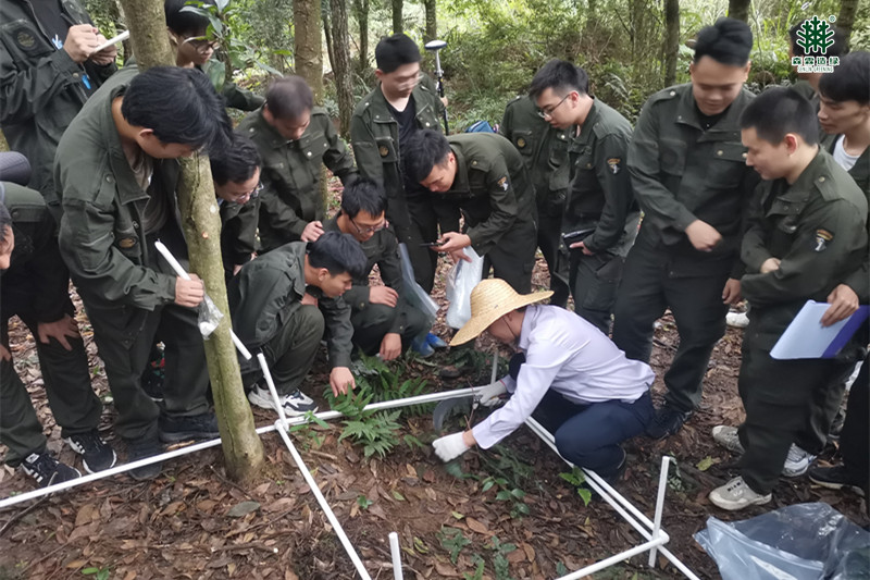 �й����ط�����(�ɷ�)���޹�˾-�ٷ���վ