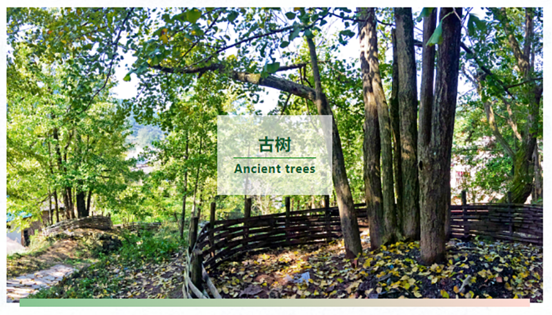 �й����ط�����(�ɷ�)���޹�˾-�ٷ���վ