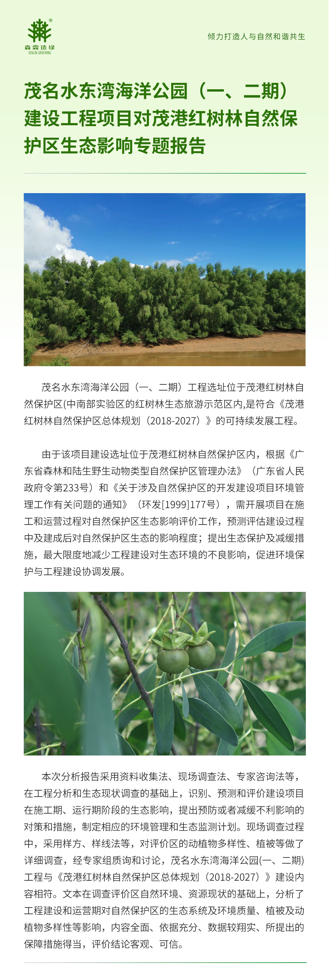 �й����ط�����(�ɷ�)���޹�˾-�ٷ���վ