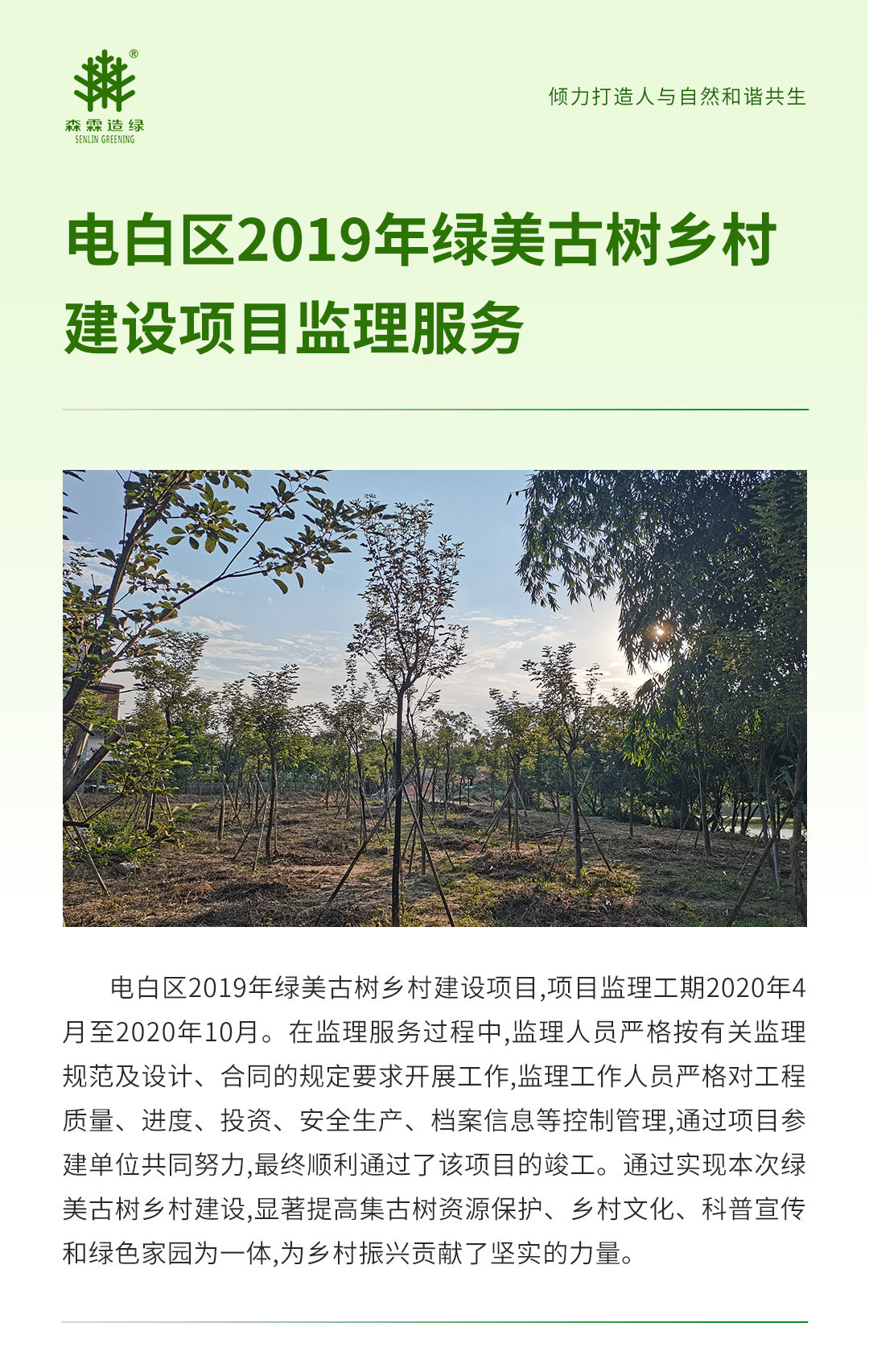 �й����ط�����(�ɷ�)���޹�˾-�ٷ���վ